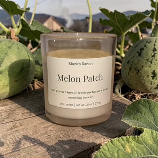 Melon Patch | 12 oz Soy Wax Candle