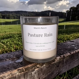 Pasture Rain | 7.5 oz Soy Wax Candle